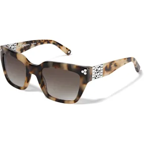 Brighton Contempo Dot Sunglasses