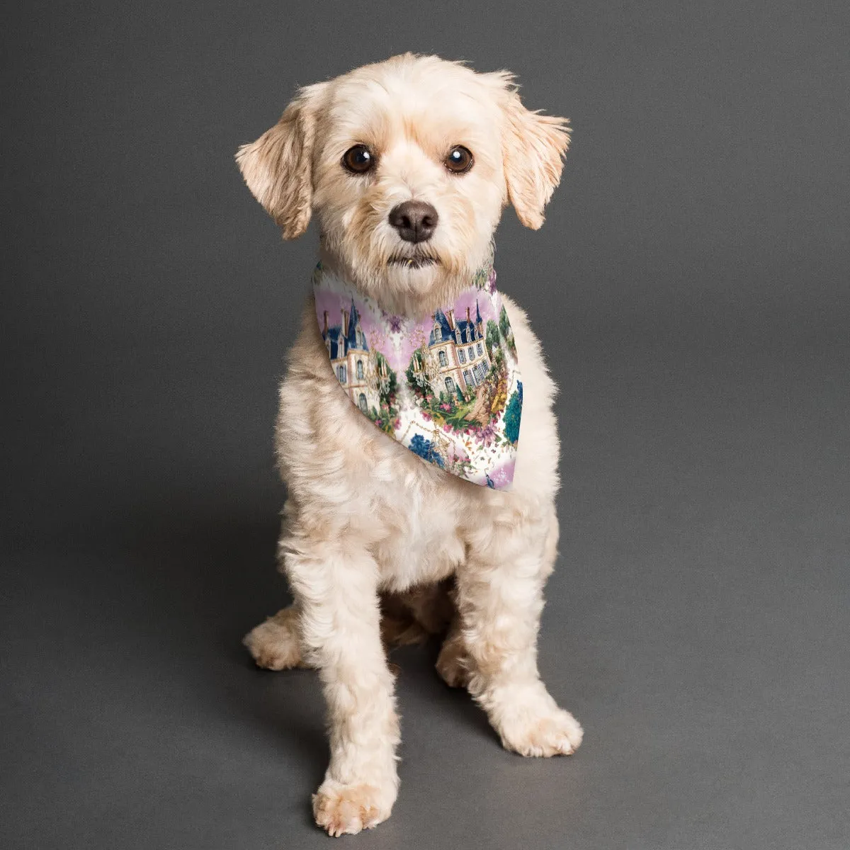 Chateau Truffles Pet's Scarf