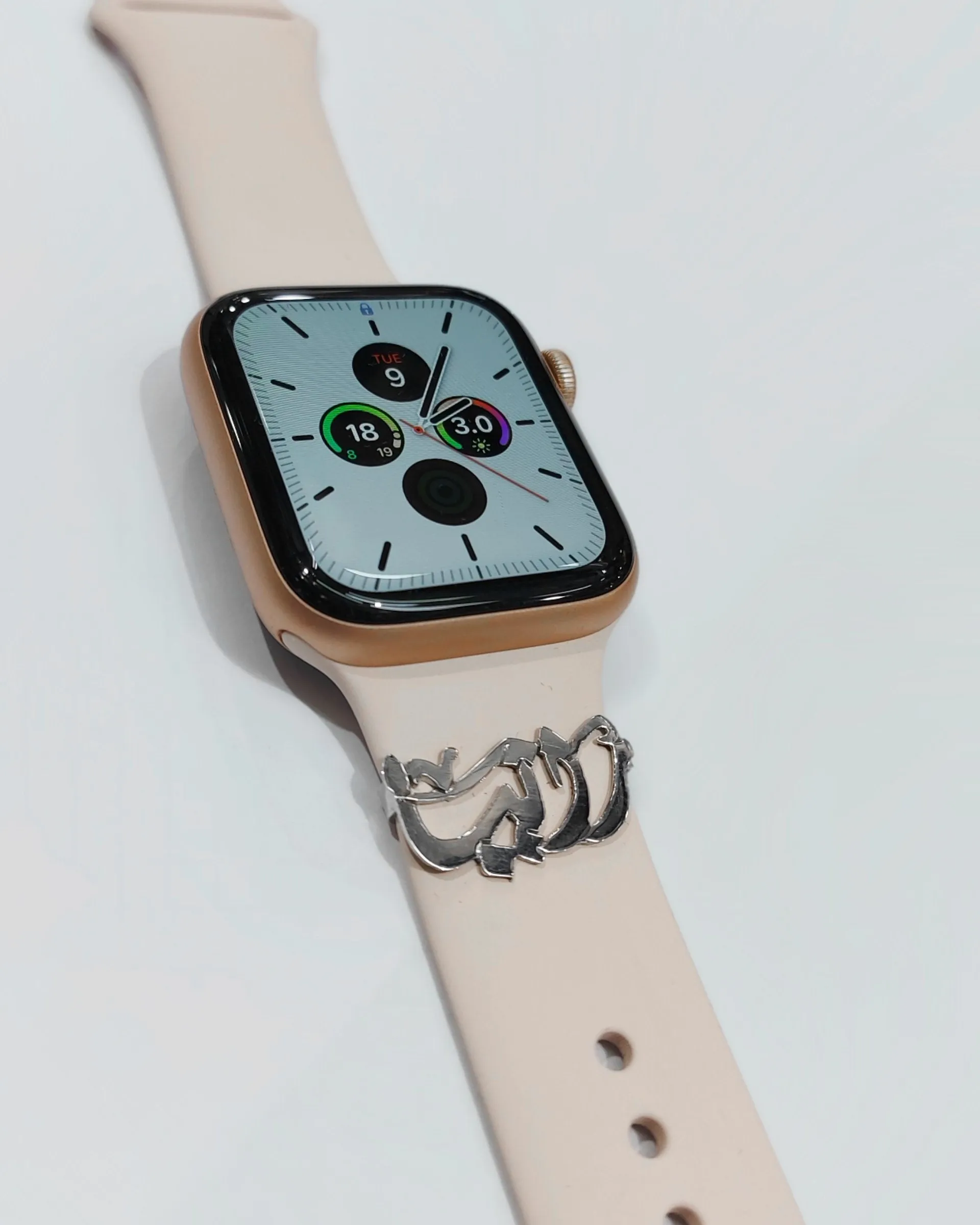 Customized Apple Watch Name Bar Silver