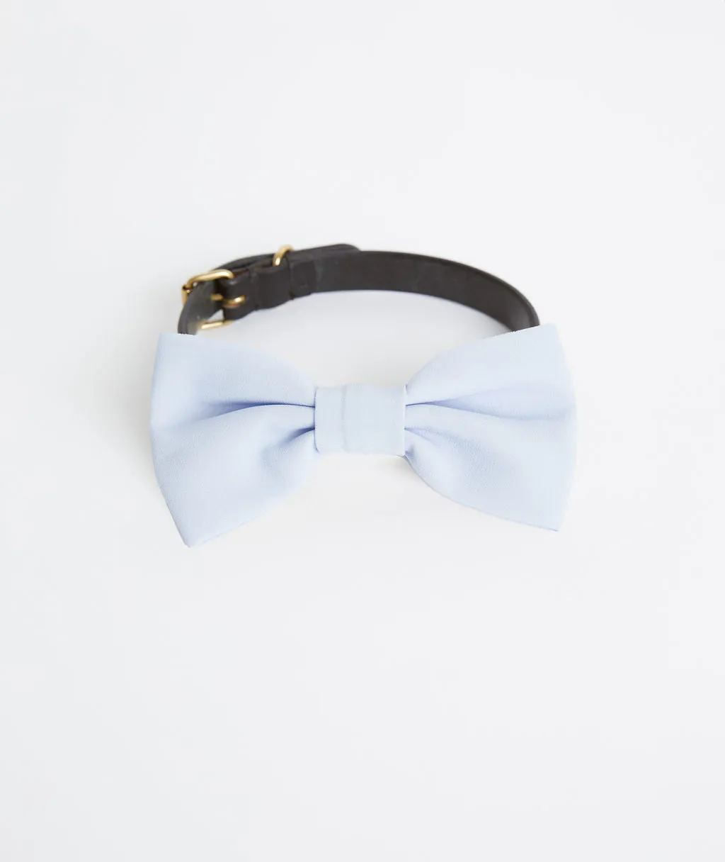 Dog Chiffon Bow Tie