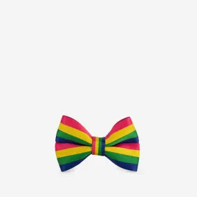 Large Bow / Rainbow