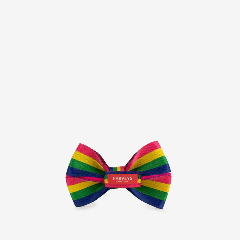 Large Bow / Rainbow