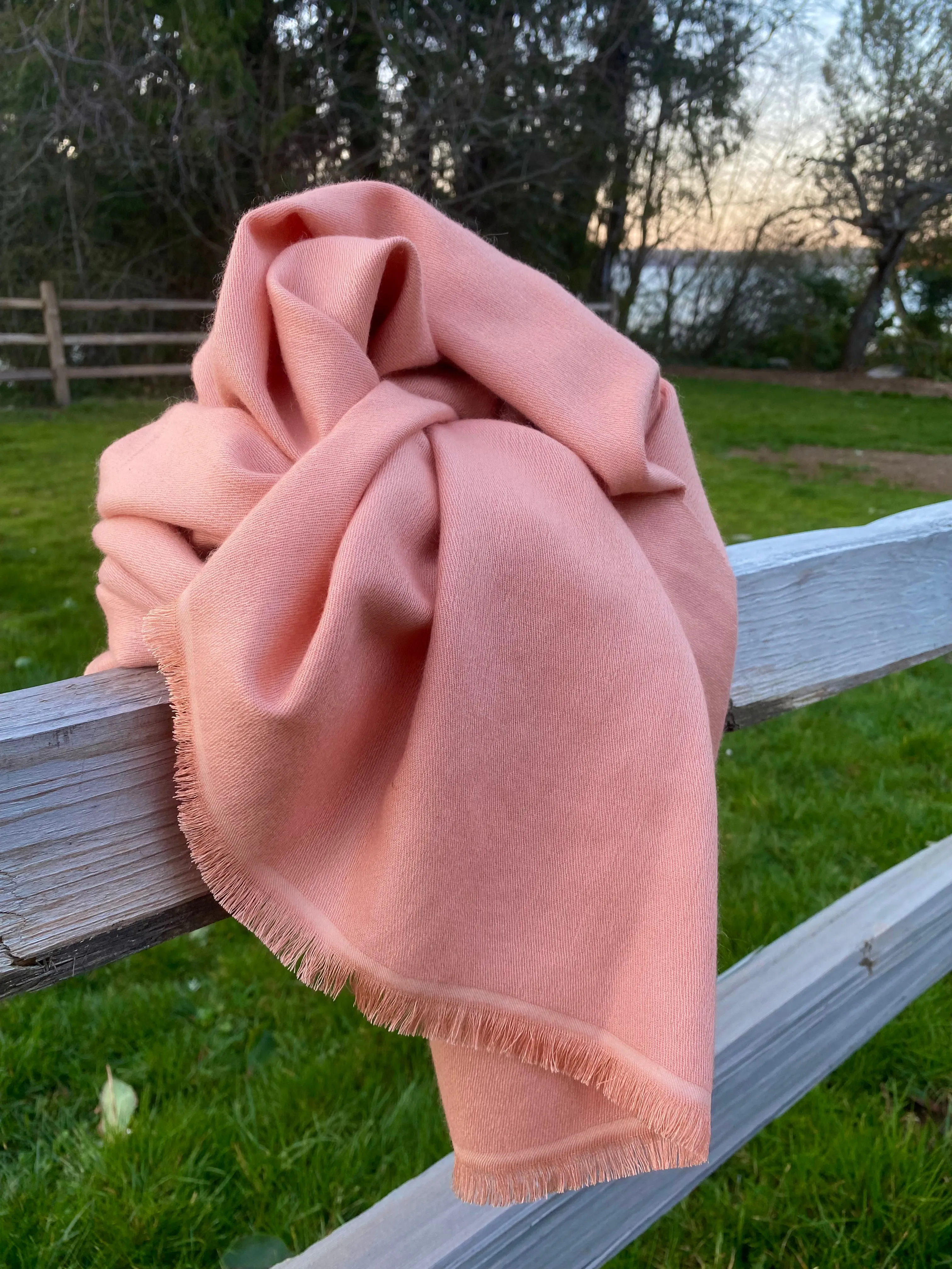 Lavish Cashmere Scarf Collection