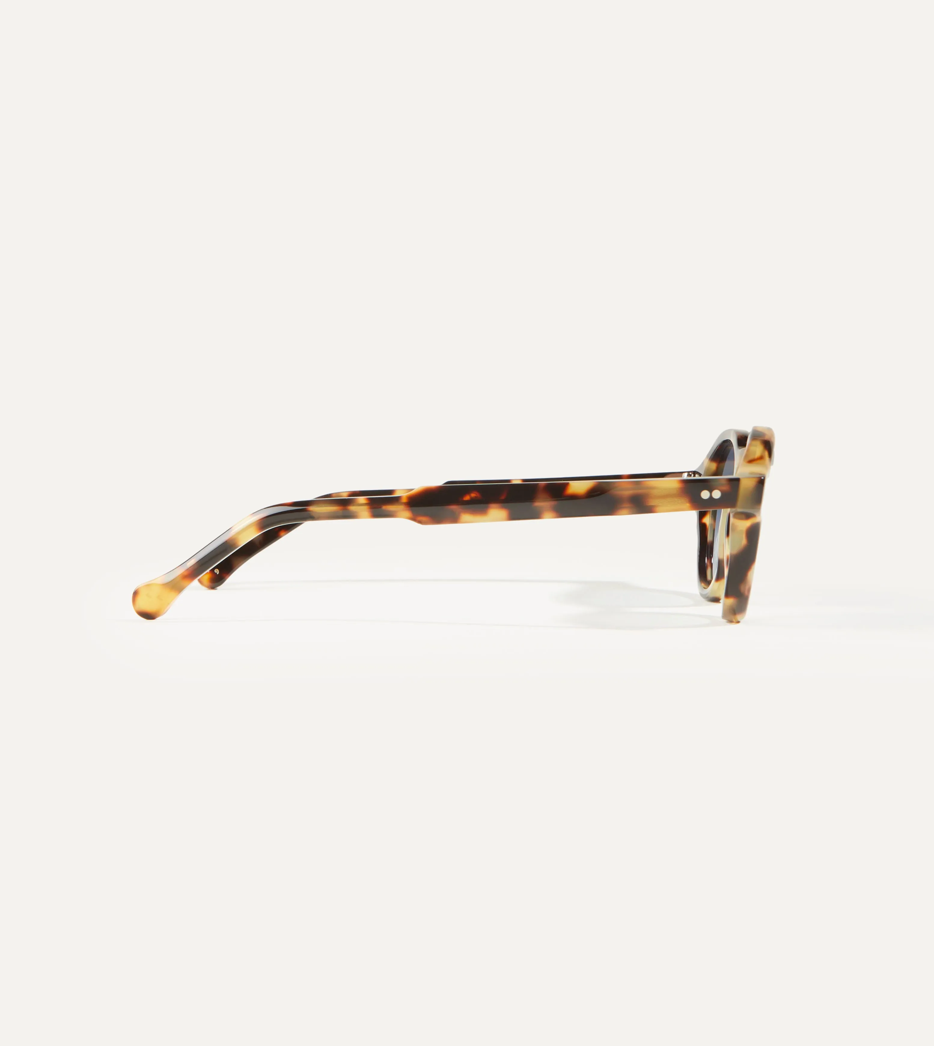 Tortoise Acetate Blake Sunglasses